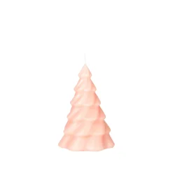 Pinus Christbaumkerze